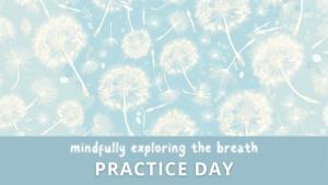 mindfully exploring the breath practice day