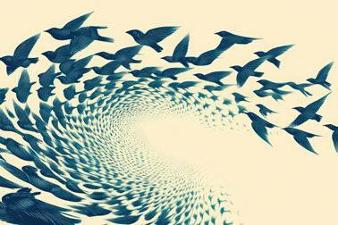 spiralling-to-freedom