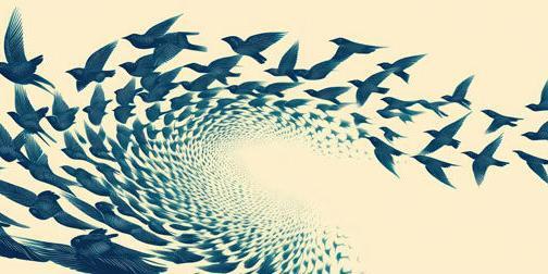 spiralling-to-freedom