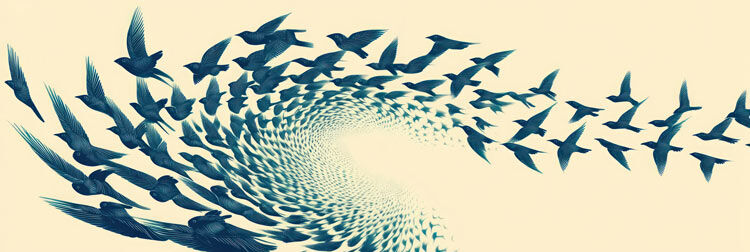 spiralling-to-freedom