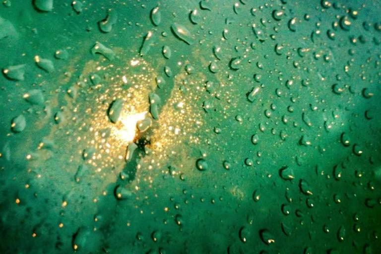 finding the wonder in a rainy day