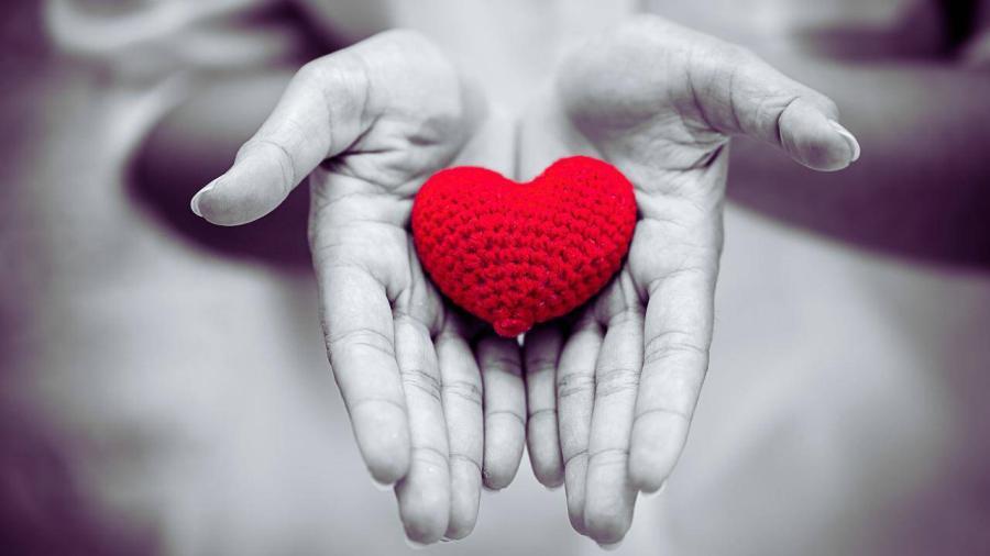 Finding Compassion Blog