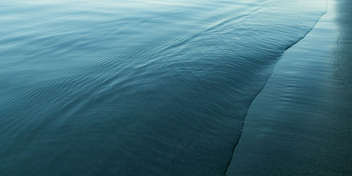 Stillness - Gina Puorro