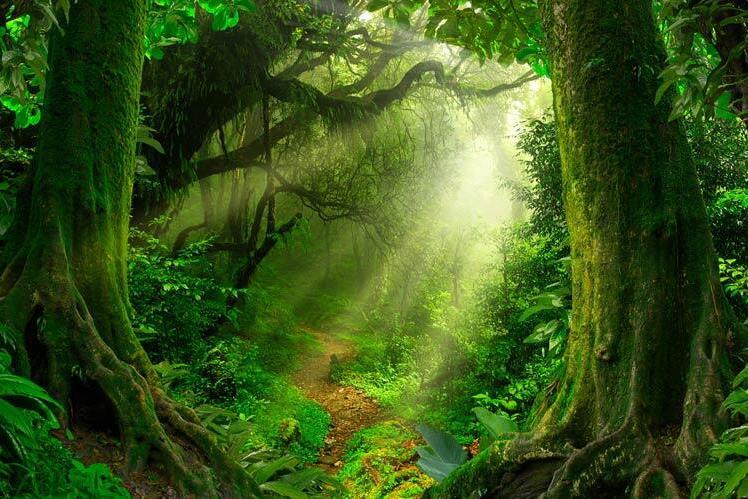 The Power of Sanctuary