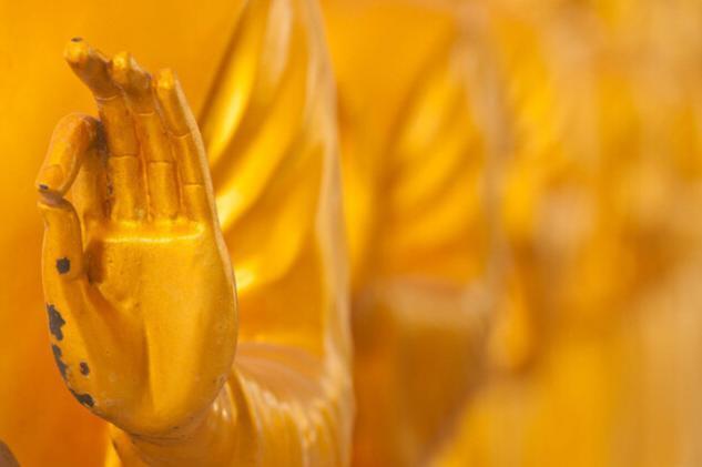 My Compassion Practice Journey