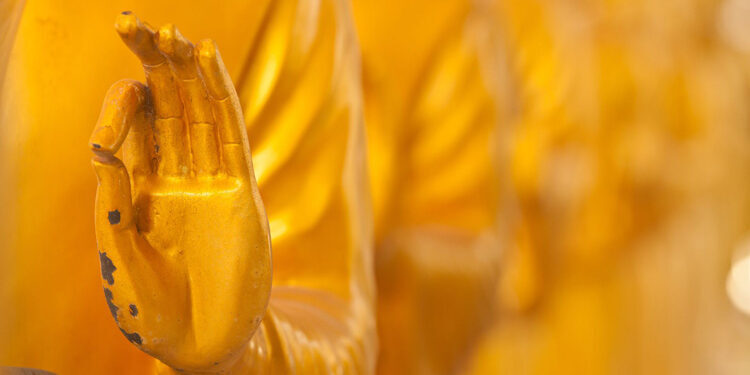 My Compassion Practice Journey