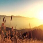 31-day-challenge-july-26