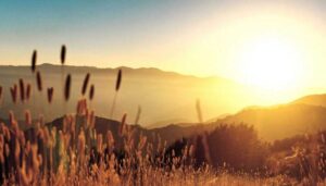 31-day-challenge-july-26