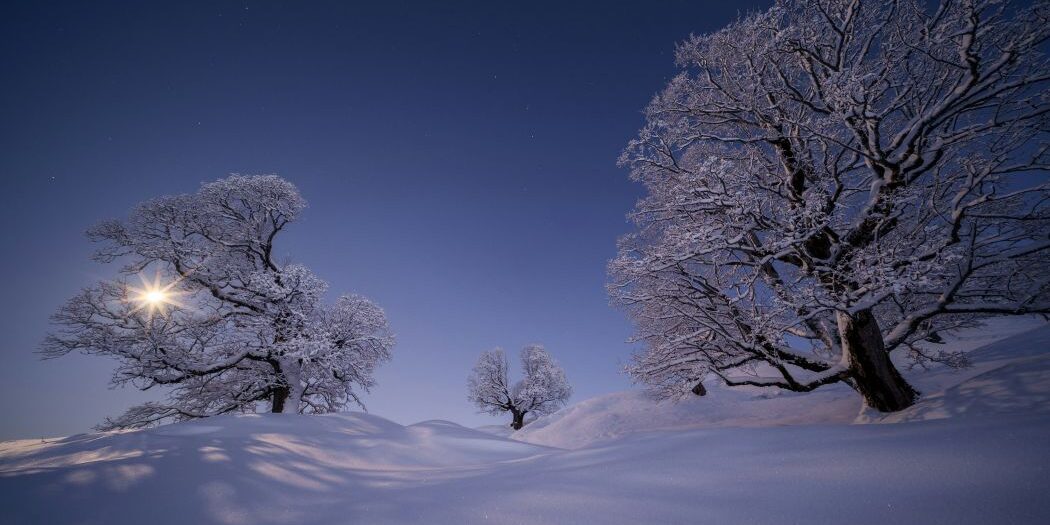 Snowy Night – Mary Oliver Snowy Night - Mary Oliver