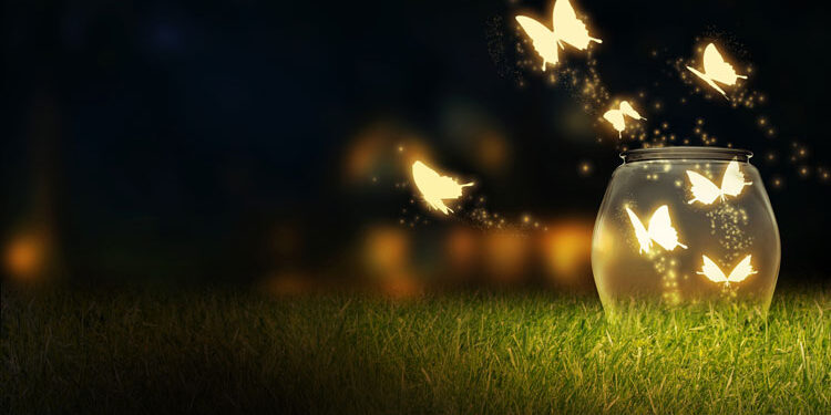 Wonder Hiding in Plain Sight