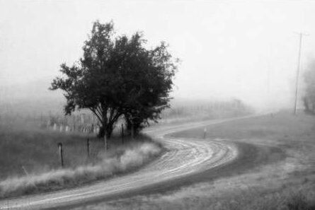 Deep in the mountains - Ron C. Moss