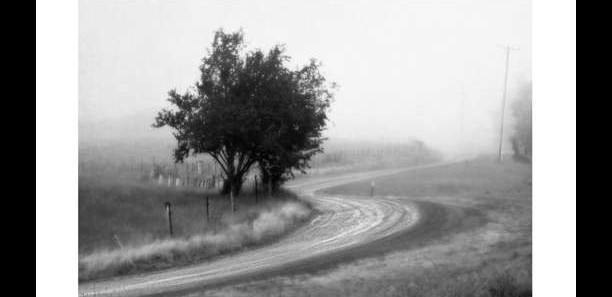 Deep in the mountains - Ron C. Moss