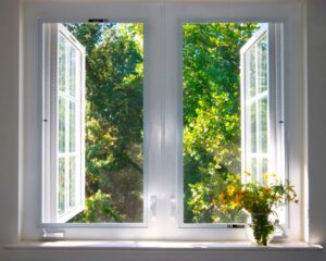 No Voyage - Mary Oliver