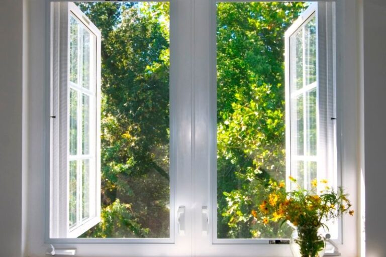 No Voyage - Mary Oliver