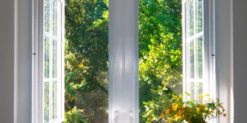 No Voyage - Mary Oliver