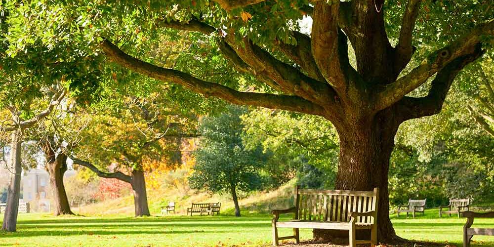 The-Science-and-Soul-of-Compassion-in-Nature The Science and Soul of Compassion in Nature