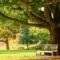 The Science and Soul of Compassion in Nature