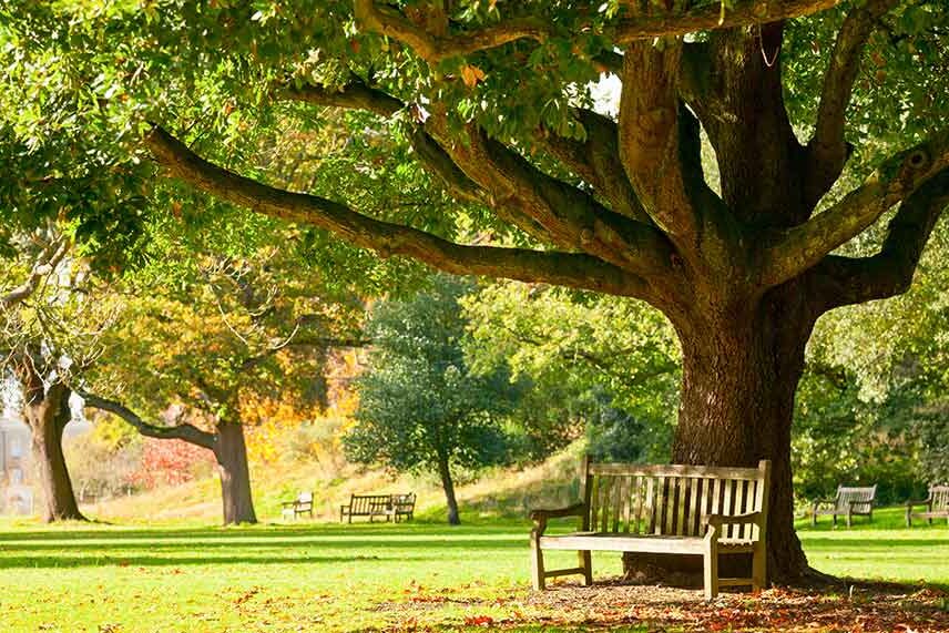 The Science and Soul of Compassion in Nature