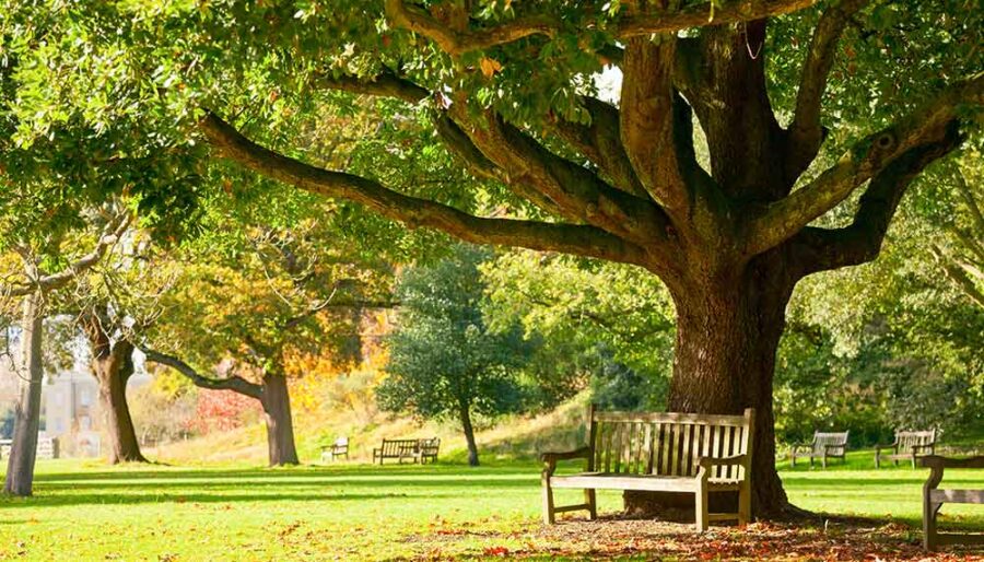 The Science and Soul of Compassion in Nature