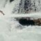 King of the River - Stanley Kunitz