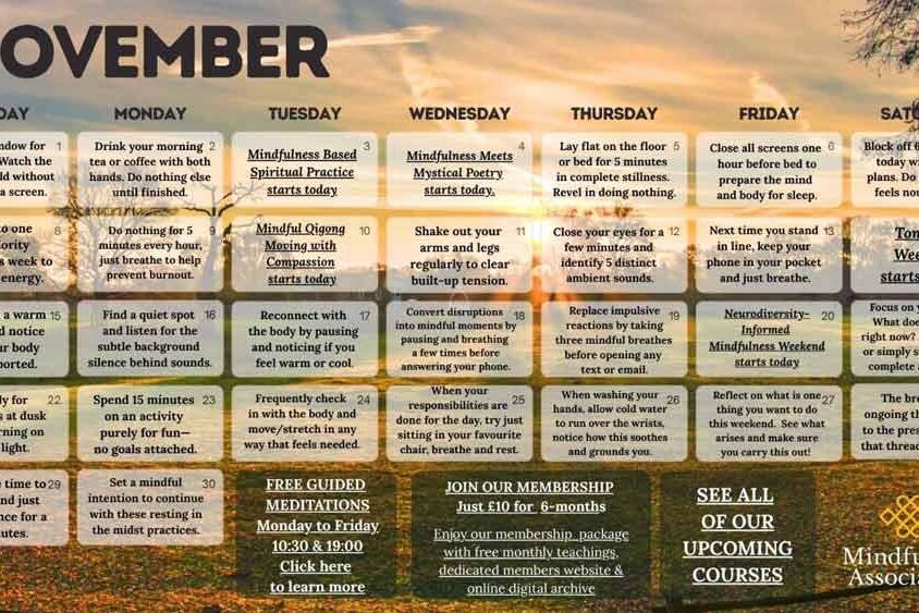 November Calendar Web